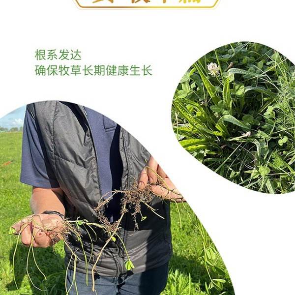安佳（Anchor） 新西兰进口 有机全脂纯牛奶 详情图 5