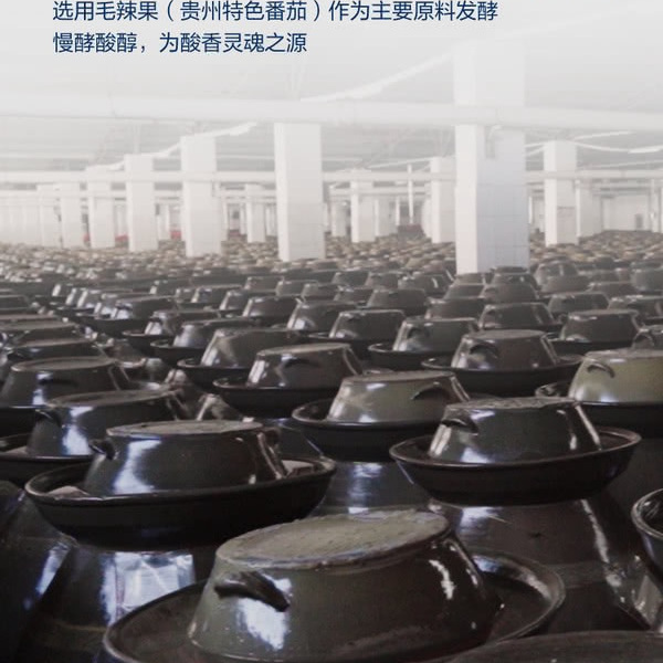 有言有味红酸汤火锅底料1.08kg（270g*4） 详情图 2