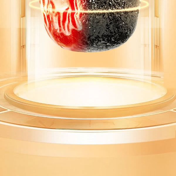 好想你 黑金枣（熟制去皮去核枣）900g 详情图 3