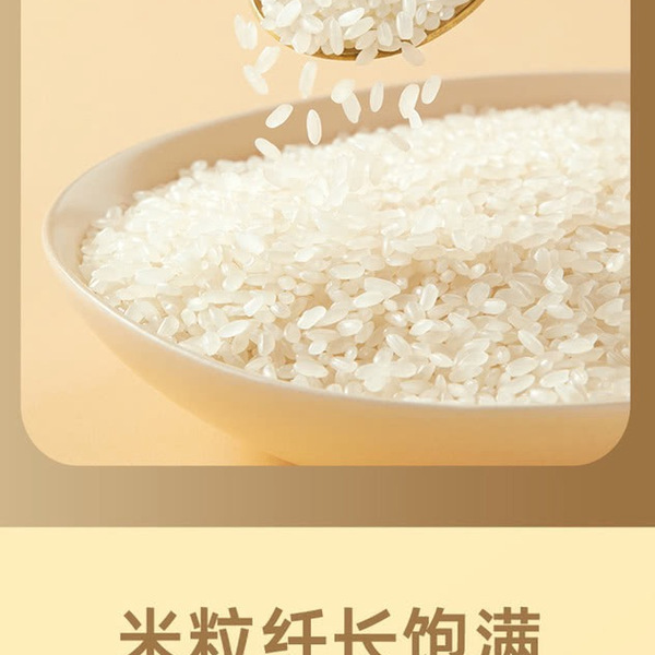 十月稻田 优质东北大米长粒香 5kg*2 详情图 2