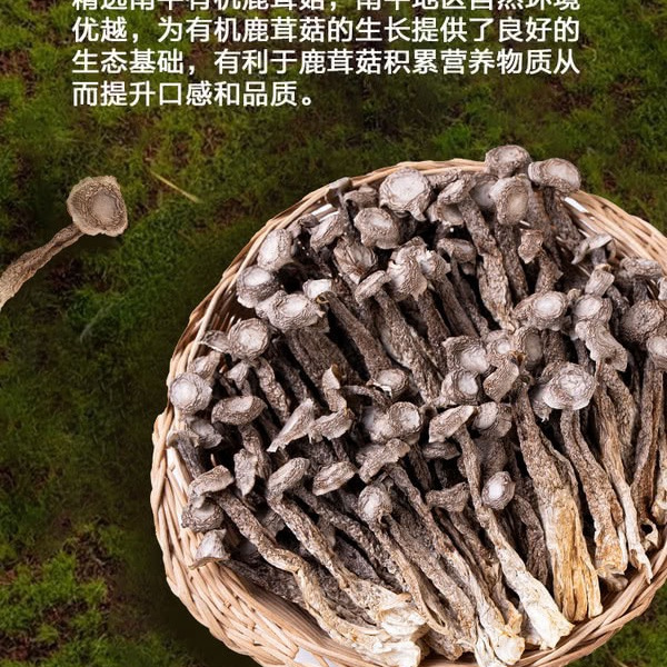 金唐 有机鹿茸菇 400g 详情图 3
