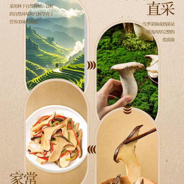 湖心泉 灰虎掌菌 200g 详情图 3