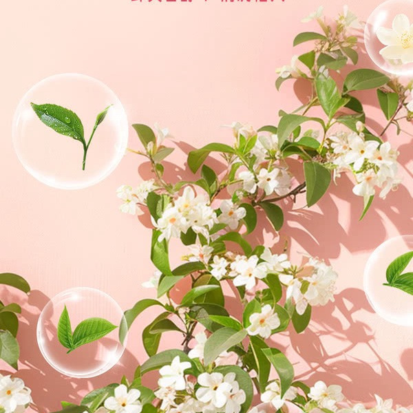 DRINKSBA 芭乐茉莉气泡果汁茶 310ml*15瓶 详情图 2