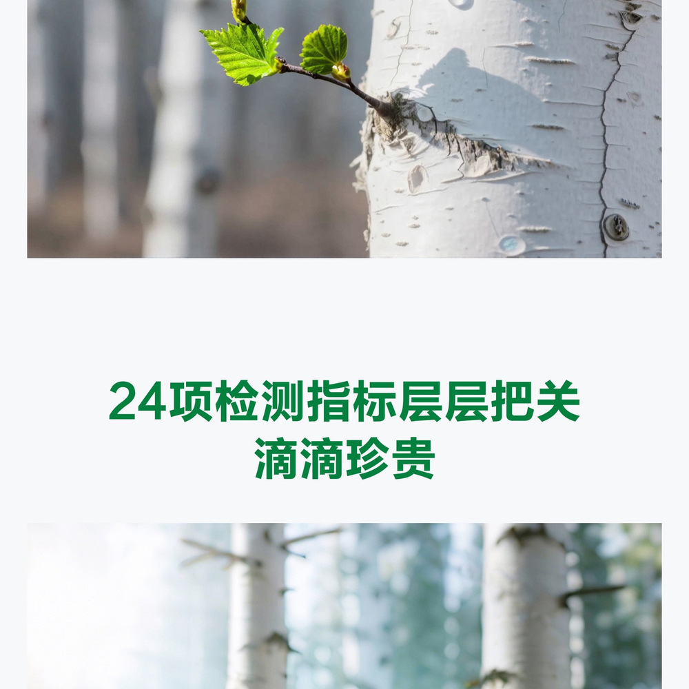 养生堂 白桦树汁 300mL*15瓶 详情图 5