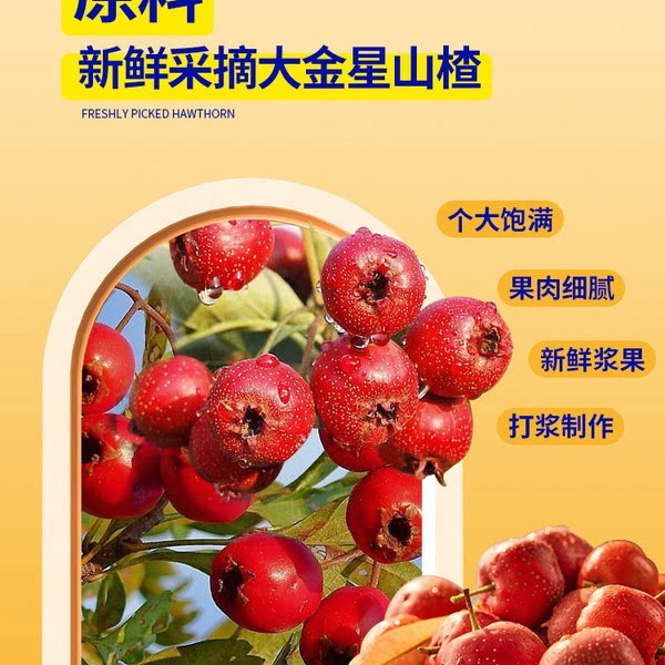 奥赛 高膳食纤维山楂棒（果糕类蜜饯）750g 详情图 2