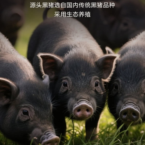史蜜斯 Smithfield高蛋白黑猪肉肠 840g 详情图 2