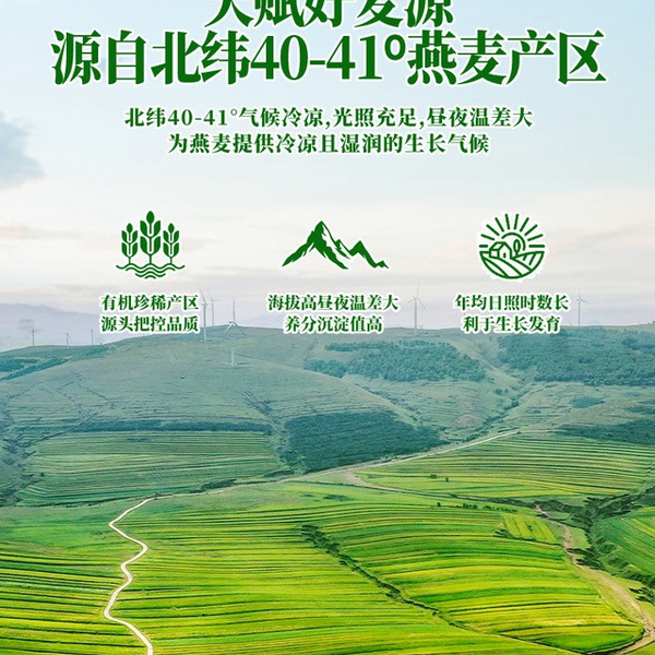 WILLIAMS TOWN 有机高蛋白燕麦片2.1kg（60x35g） 详情图 4