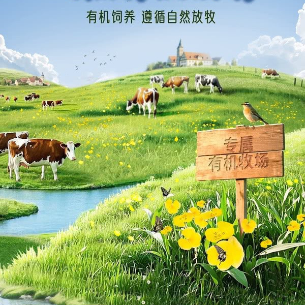 MUH有机全脂纯牛奶 200mL*30瓶 详情图 4