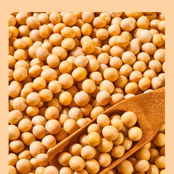 山姆有机大豆 2kg 详情图 3