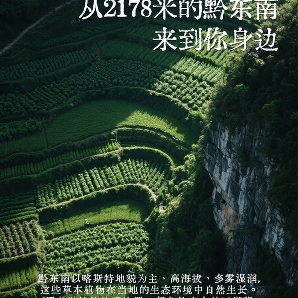 真不二 小黄姜青刺根浴足包礼盒25g*30包 详情图 4