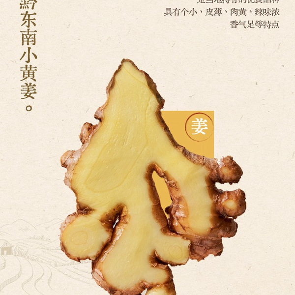 真不二 小黄姜青刺根浴足包礼盒25g*30包 详情图 2