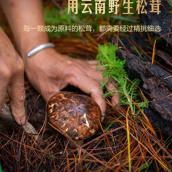 太太乐 松茸醇鲜调味料360g（120g*3袋） 详情图 2