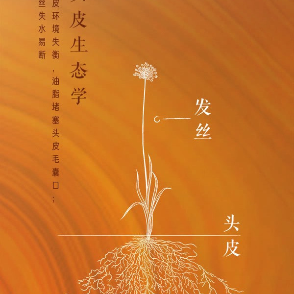 发之食谱 防断韧发洗发露 530g*3瓶 详情图 3
