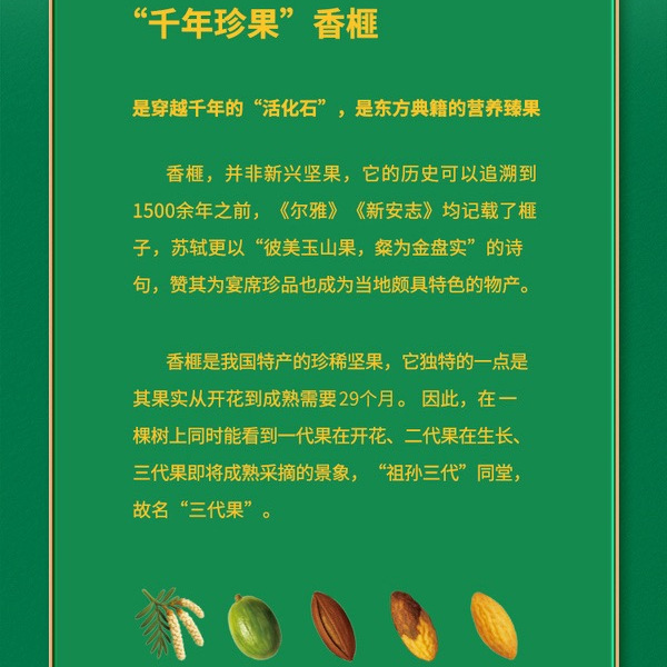ONICE 香脆盐炒香榧仁420g 详情图 2