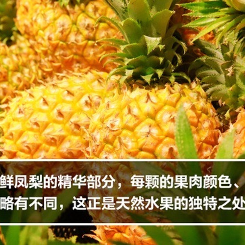 都乐 金钻凤梨圈225g 详情图 5