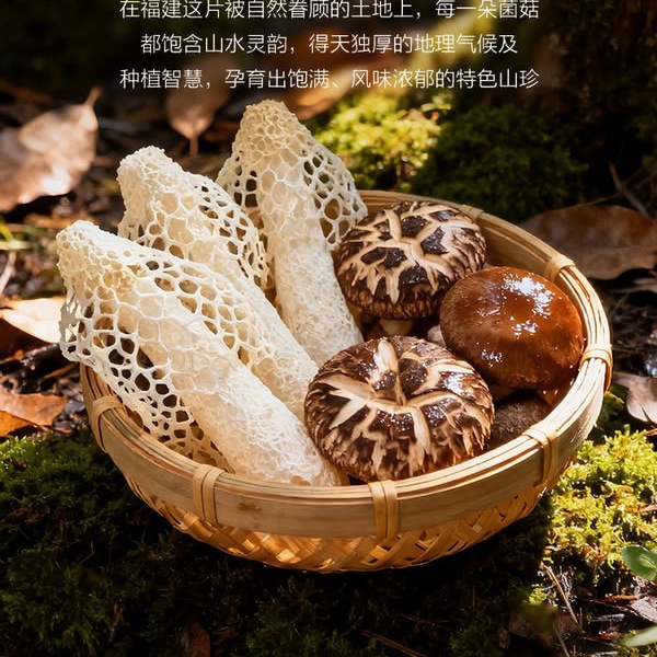 山姆甄选有机菌菇礼盒 808g 详情图 7