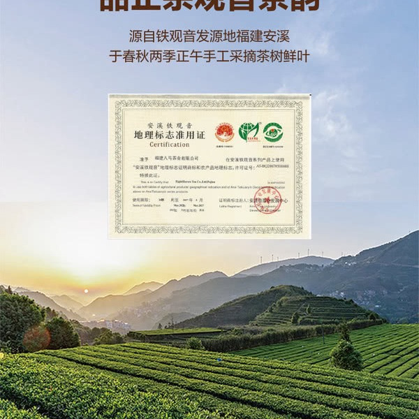 八马 浓香铁观音200g 详情图 5