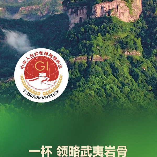 八马 武夷大红袍425g 详情图 2