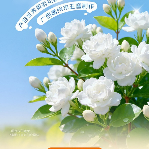 屈臣氏 碧泉甜杏茉莉绿茶果汁茶饮料 250mL*20瓶 详情图 5